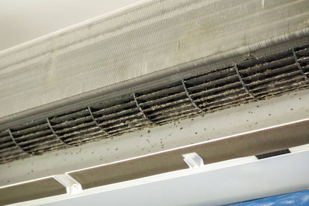 Best Ventilation Cleaning Services  in Farmville, VA
